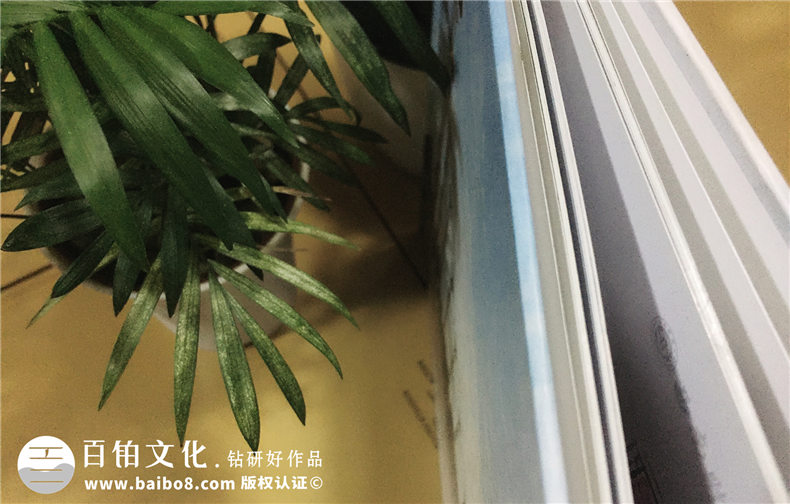 西南財(cái)經(jīng)大學(xué)保險(xiǎn)學(xué)院2007級(jí)本科畢業(yè)紀(jì)念冊(cè)