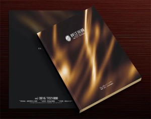 【高端樓書設(shè)計(jì)制作】售樓處房地產(chǎn)宣傳畫冊(cè)怎么做高檔簡(jiǎn)約大氣!
