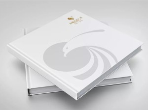 商業(yè)廣場(chǎng)樓書設(shè)計(jì)-房地產(chǎn)企業(yè)招商投資宣傳畫冊(cè)設(shè)計(jì)制作案例賞析!