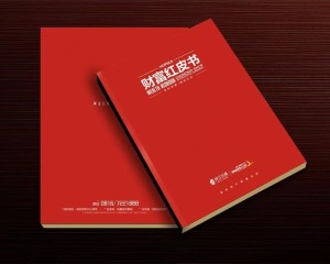 真正高端的房地產(chǎn)企業(yè)宣傳畫冊(cè)設(shè)計(jì) 擺脫創(chuàng)意文案 廣告照樣牛逼！