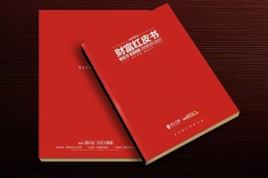真正高端的房地產(chǎn)企業(yè)宣傳畫冊(cè)設(shè)計(jì) 擺脫創(chuàng)意文案 廣告照樣牛逼！