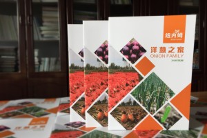 【500強(qiáng)企業(yè)】怎樣設(shè)計(jì)公司內(nèi)部期刊雜志,期刊欄目內(nèi)容怎么規(guī)劃