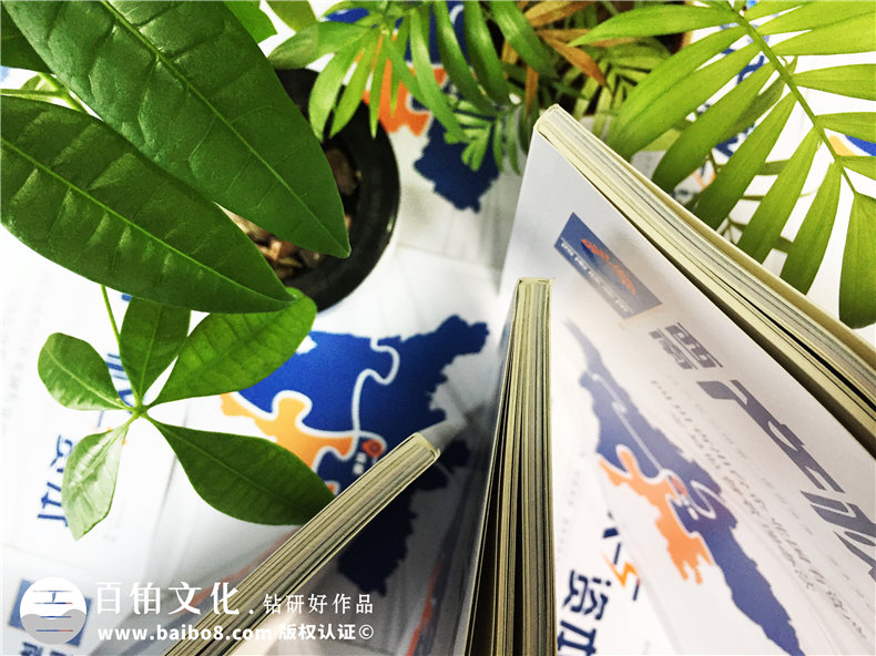 創(chuàng)意雜志版式設(shè)計,經(jīng)典公司雜志內(nèi)頁,目錄排版