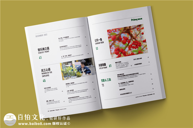 企業(yè)內(nèi)部期刊設(shè)計(jì)有哪些內(nèi)容版塊可以策劃第2張-宣傳畫冊,紀(jì)念冊設(shè)計(jì)制作-價(jià)格費(fèi)用,文案模板,印刷裝訂,尺寸大小