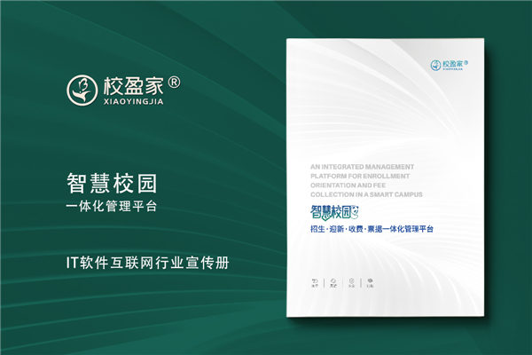 IT行業(yè)宣傳冊設(shè)計(jì)-軟件互聯(lián)網(wǎng)管理系統(tǒng)畫冊定制