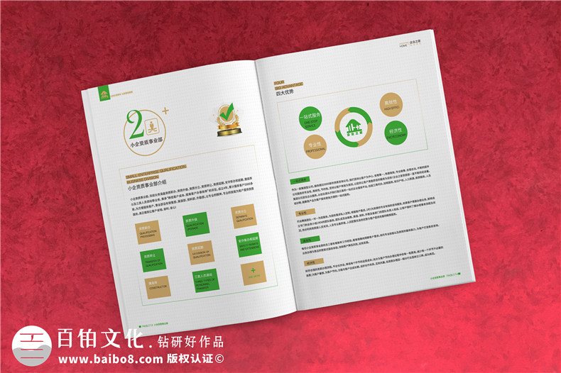 企業(yè)服務(wù)公司宣傳冊制作-財(cái)稅咨詢會(huì)計(jì)服務(wù)公司畫冊設(shè)計(jì)
