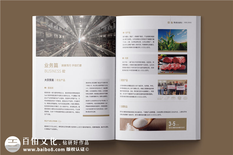 外貿(mào)企業(yè)宣傳冊-供應鏈服務實業(yè)公司畫冊設計