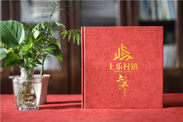 珍藏記憶，感恩同行——鎮(zhèn)領導調任紀念冊