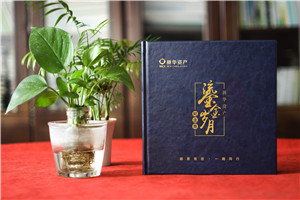 時(shí)光影像，情誼永恒——資產(chǎn)管理公司領(lǐng)導(dǎo)調(diào)任留念相冊(cè)