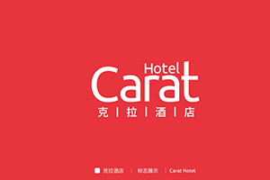 品牌設(shè)計(jì)公司的專業(yè)理念 企業(yè)品牌塑造與策劃的方法！