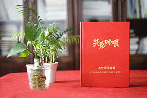 疫情紀念冊 為疫情后的醫(yī)療隊志愿者制作紀念冊 紀念不平凡！