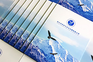 企業(yè)畫冊設(shè)計思路、理念有哪些重要的設(shè)計原則？