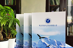 企業(yè)宣傳冊(cè)怎么制作更好 從企業(yè)宣傳畫(huà)冊(cè)的意義和重要入手