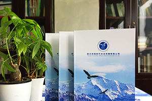 企業(yè)畫冊策劃與設(shè)計(jì) 企業(yè)畫冊策劃公司必須重視畫冊設(shè)計(jì)的力量！