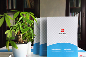 企業(yè)畫冊設計怎么做？畫冊制作的通用方法思考