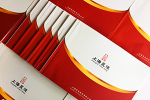 金融企業(yè)畫(huà)冊(cè)設(shè)計(jì) 金融行業(yè)宣傳冊(cè)設(shè)計(jì)要怎么做的設(shè)計(jì)方法！